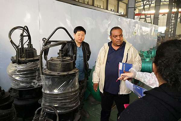 遠洋牌潛水泥沙泵樣圖