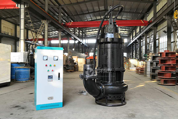 遠(yuǎn)洋牌潛水泥沙泵樣圖