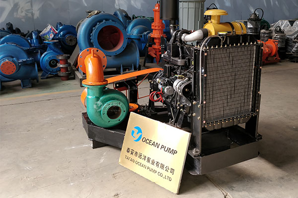 遠(yuǎn)洋牌小型抽沙機(jī)6PS樣圖