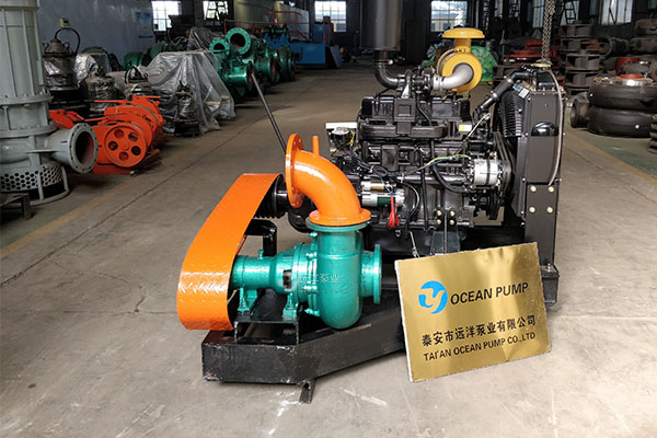 遠(yuǎn)洋牌小型抽沙泵6PS樣圖