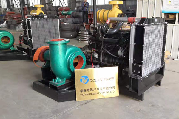 遠(yuǎn)洋牌小型抽沙機(jī)樣圖