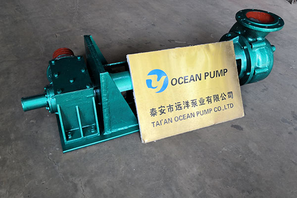 遠(yuǎn)洋牌定制化生產(chǎn)立式抽沙泵樣圖