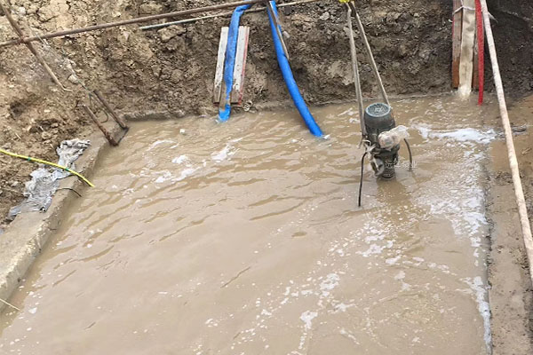 遠洋牌立式吸沙泵樣圖