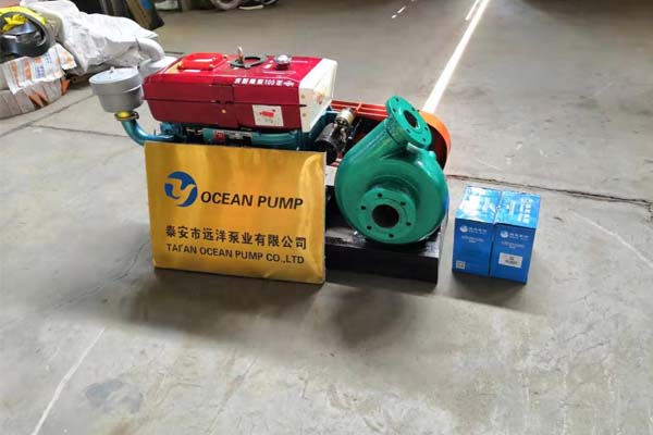 遠洋牌小型抽沙泵樣圖