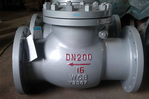 遠洋牌泥沙泵配套止回閥樣圖