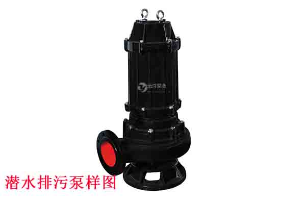 泰安遠(yuǎn)洋牌潛水排污泵樣圖